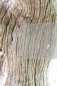 發(fā)生交通事故，賠償流程是怎樣的？調(diào)解結(jié)案賠償額又是多少？